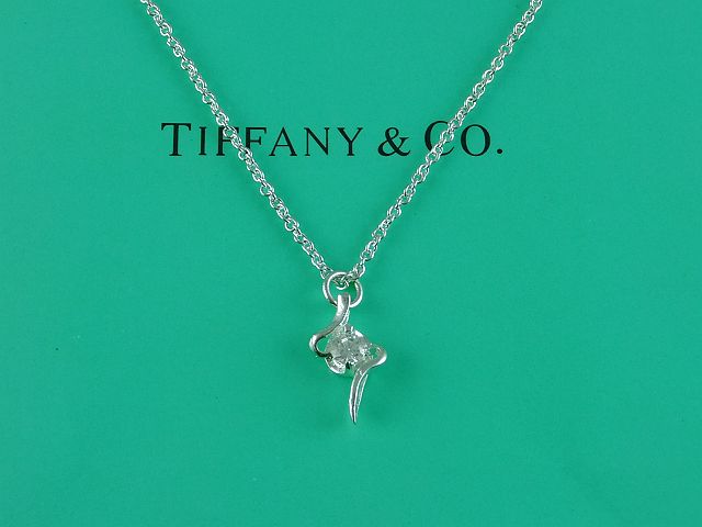 tiffany Necklace-418